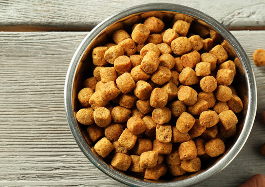 croquettes sans céréales pour chien