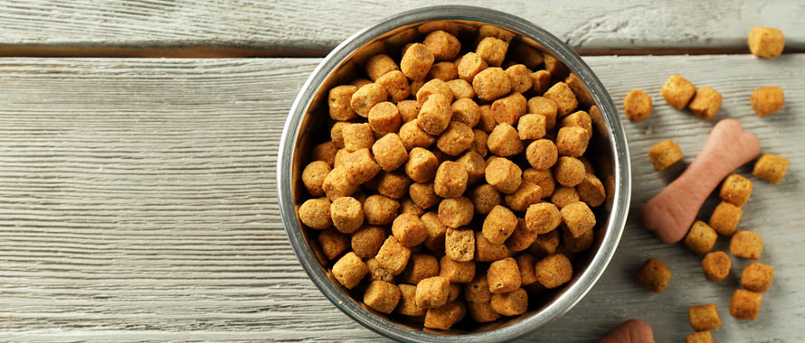 croquettes sans céréales pour chien