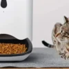 distributeur croquettes automatique chat