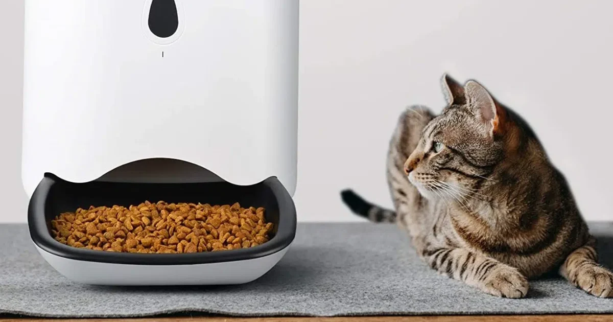 distributeur croquettes automatique chat