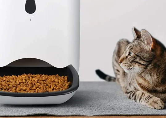 distributeur croquettes automatique chat