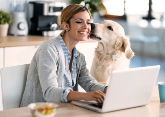 chien télétravail