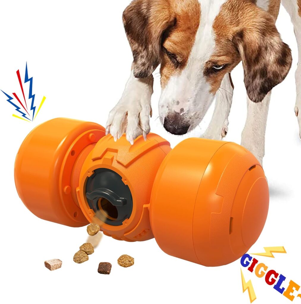 jouets interactifs pour chien