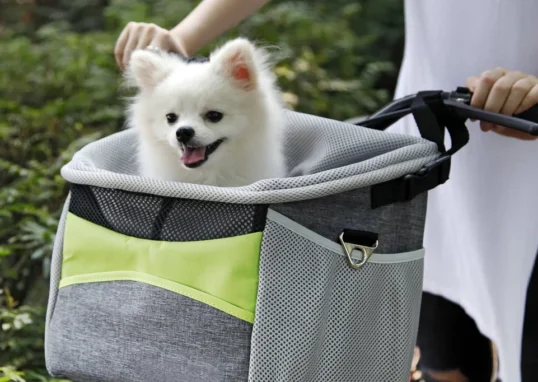 Sac de Transport pour Chien en Vélo