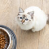 croquettes pour chat stérilisé